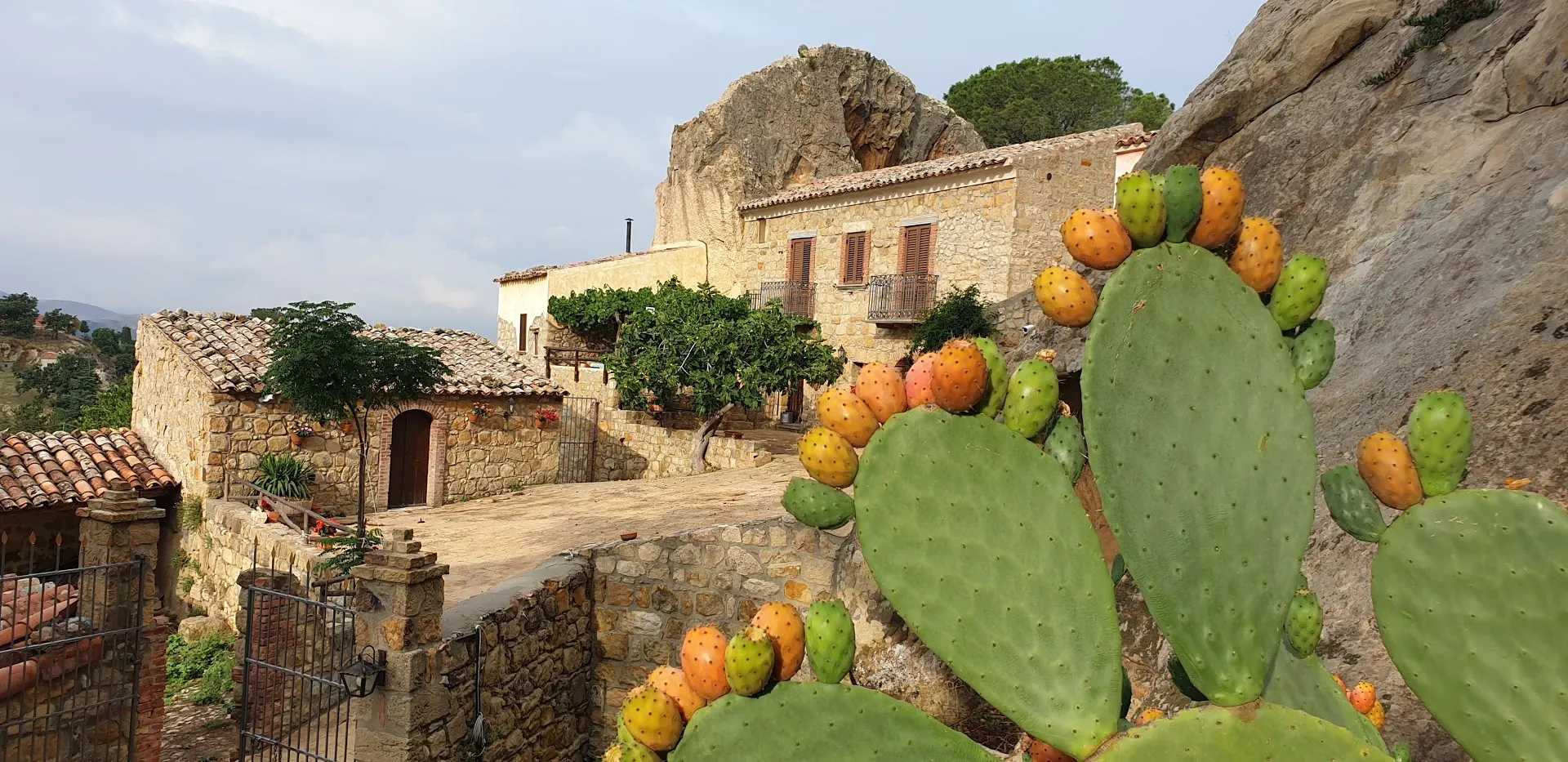 Primo piano di fichi d'india con la masseria sullo sfondo
