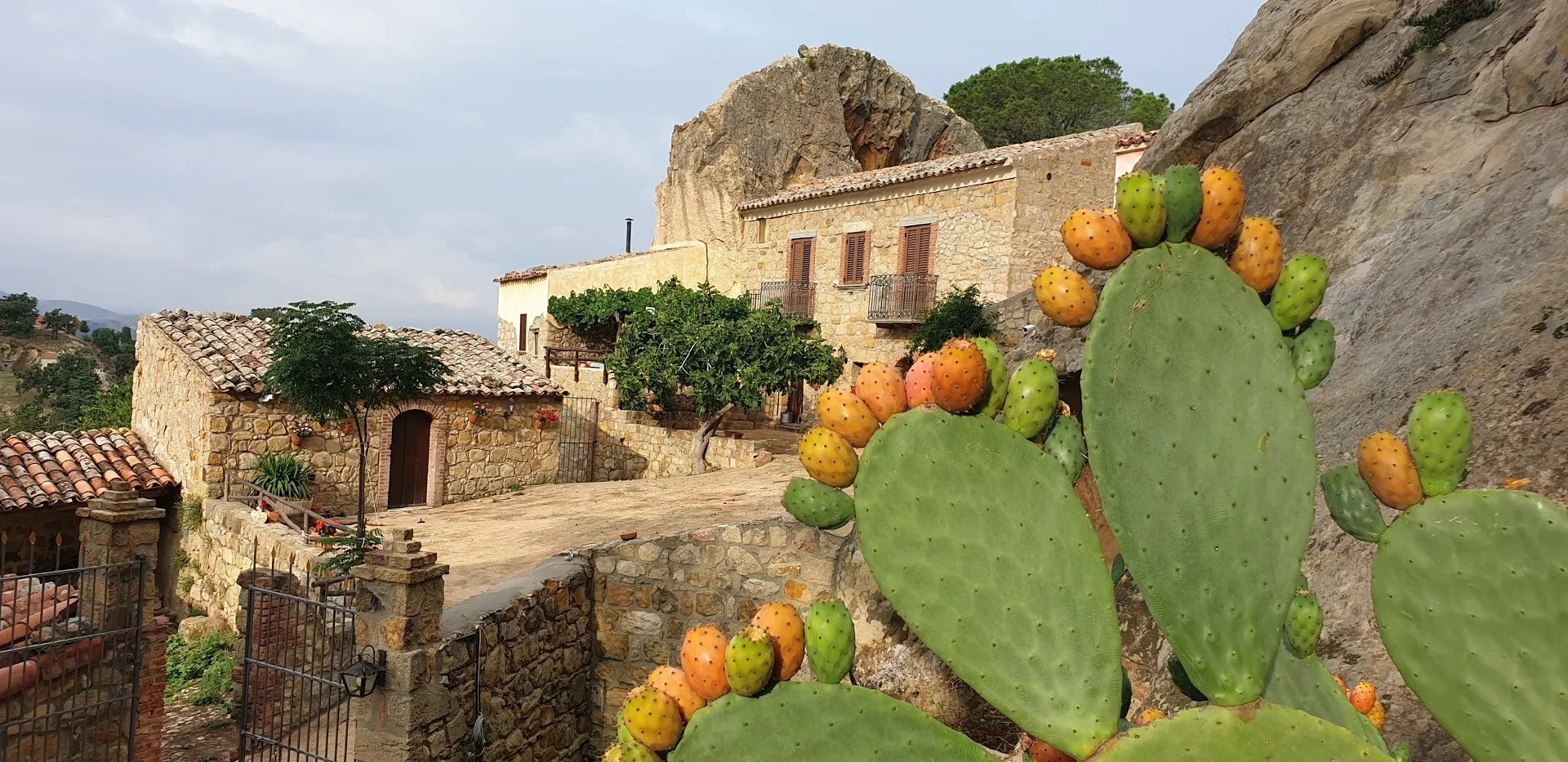 Frutta del territorio