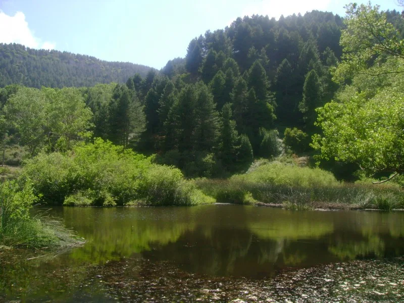 Campanito Lakes in the Sambughetti-Campanito Reserve
