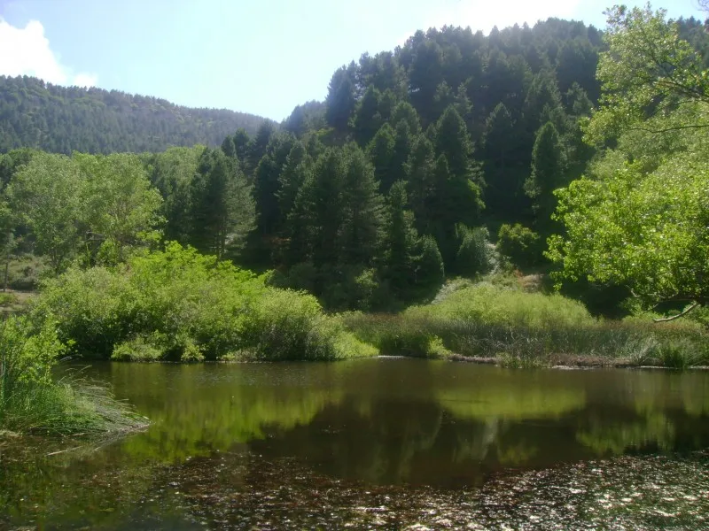 Laghetti del Campanito, Riserva Sambughetti-Campanito