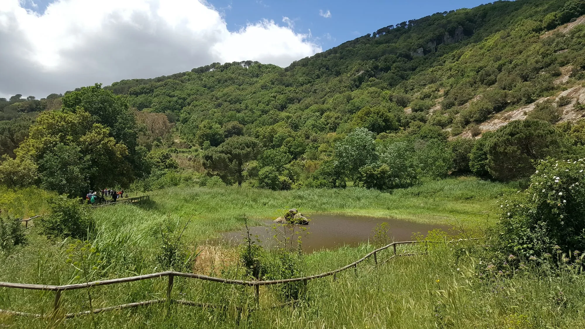Laghetto di Campanito con riflessi della vegetazione primaverile