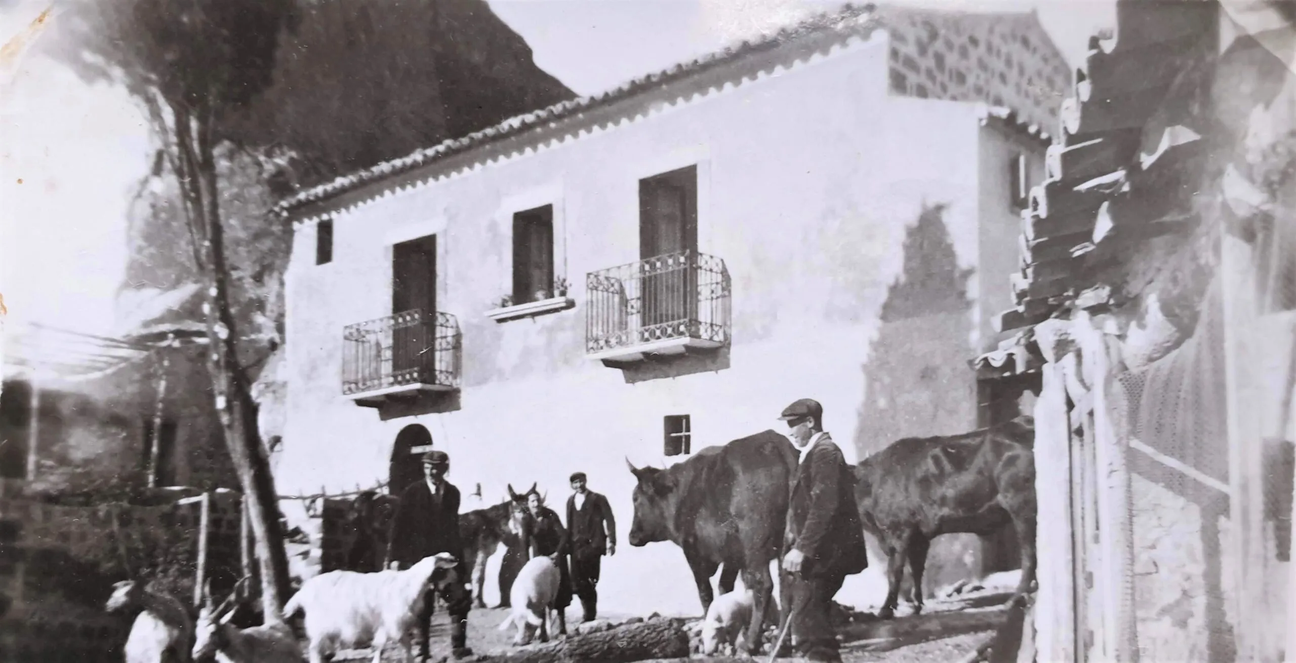 Masseria Rossignolo, Nicosia