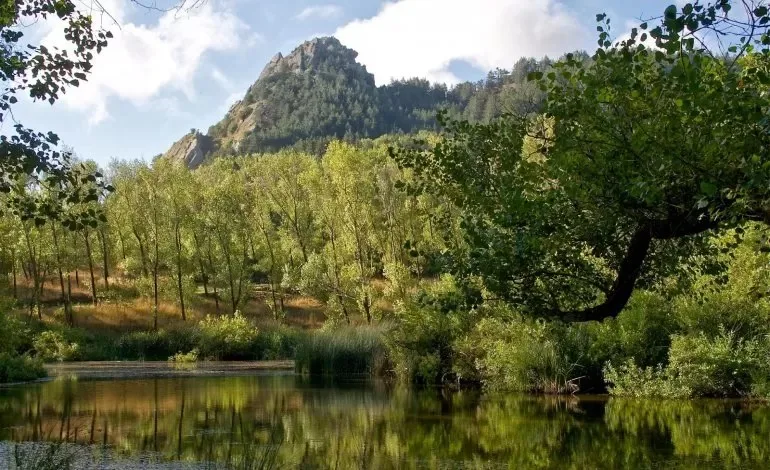 Monte Sambughetti, vetta della Riserva Sambughetti-Campanito sopra Nicosia