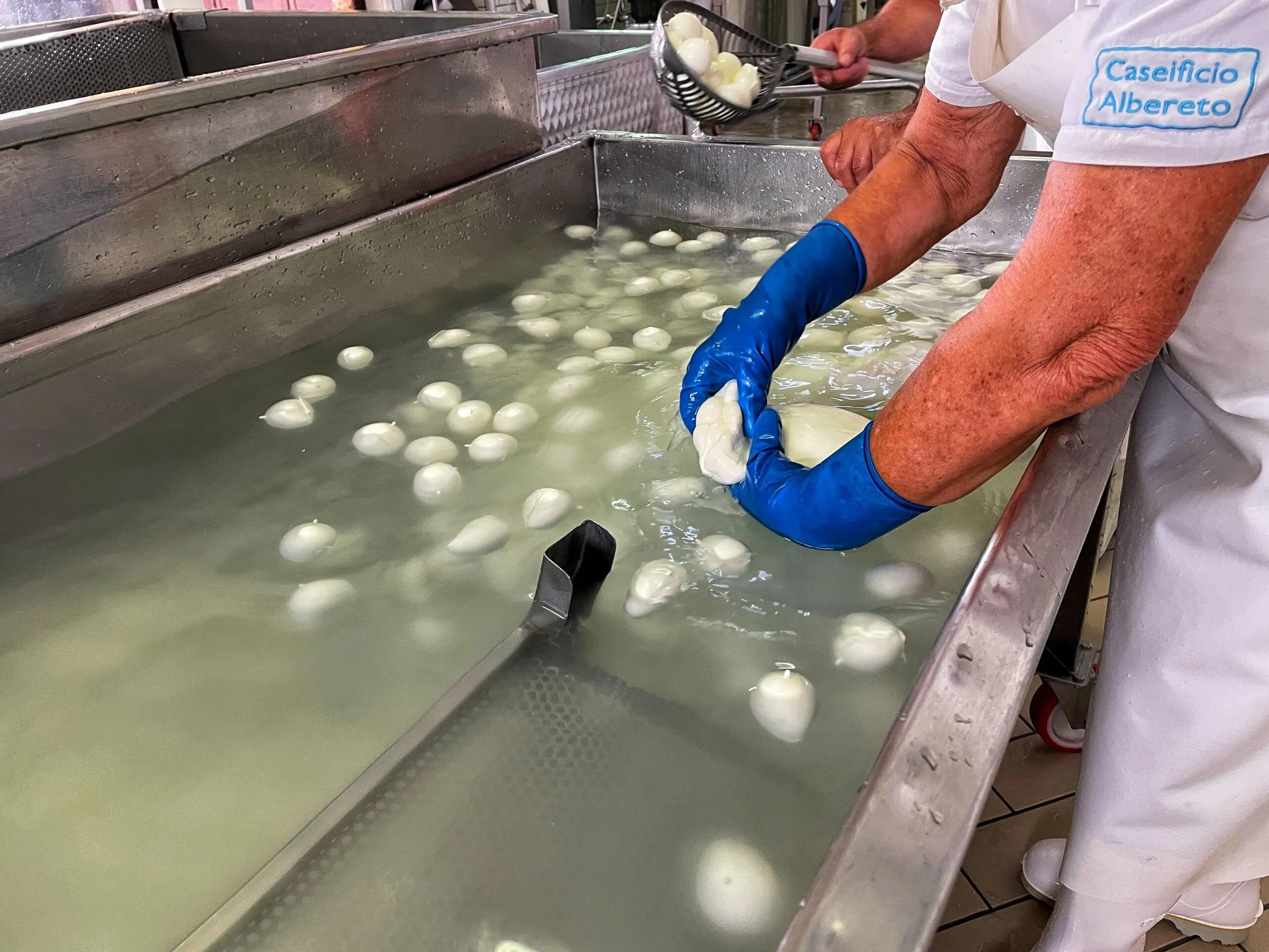 Produzione di mozzarelle — Caseificio Albereto