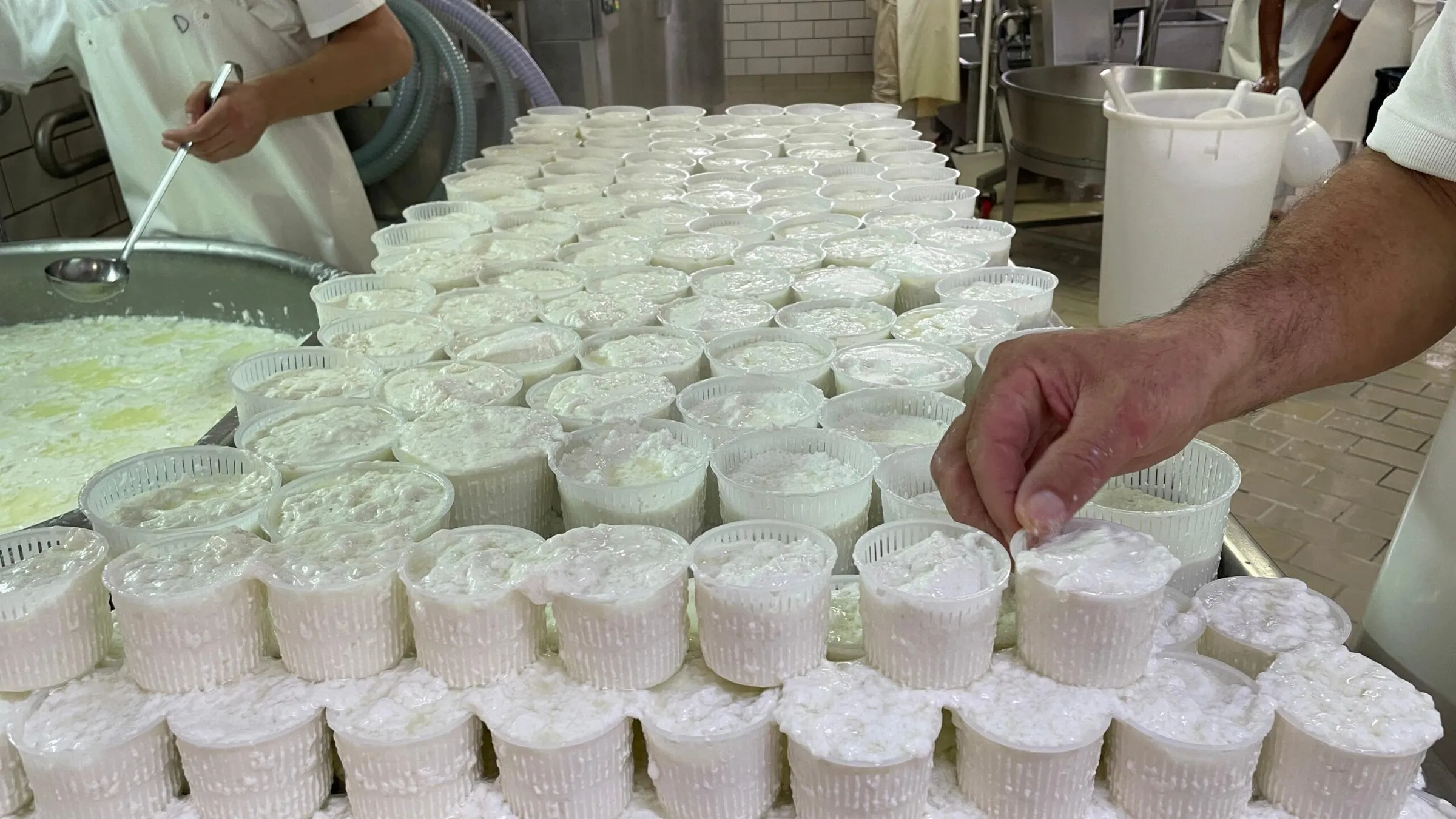 Ricotte in produzione