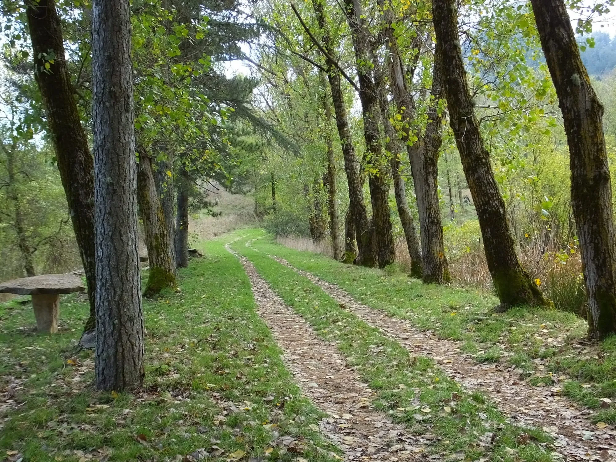 Sentiero di montagna nei Nebrodi
