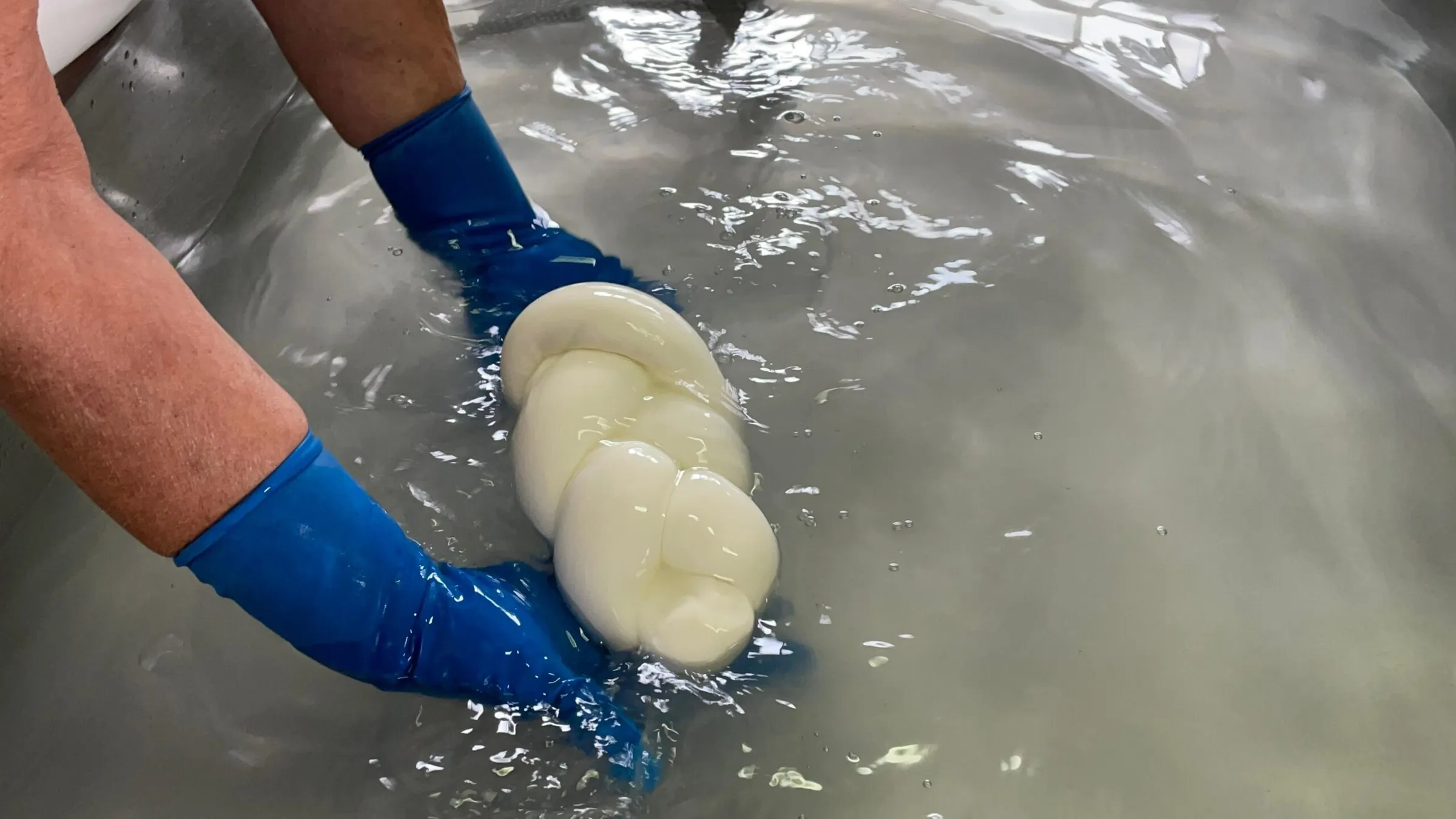 Treccia di mozzarella di bufala