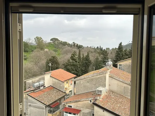 Vista dalla finestra su tetti in coppi e colline alberate sullo sfondo