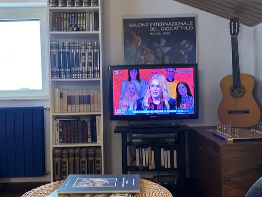Soggiorno con soffitto in legno, libreria bianca, televisore acceso e chitarra acustica