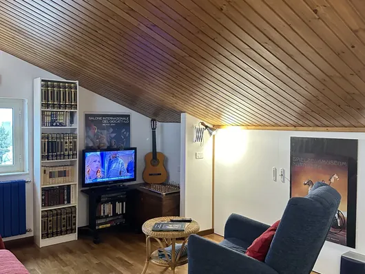 Soggiorno mansardato con soffitto in legno, libreria bianca, TV e poltrone blu