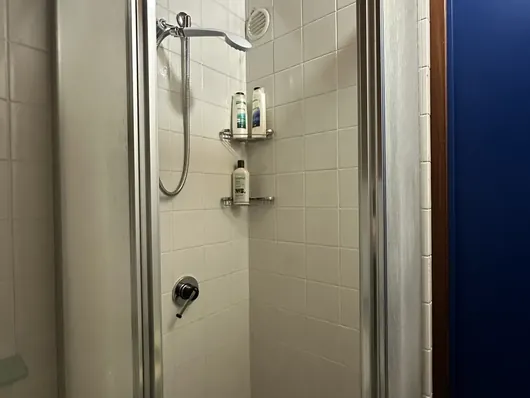 Doccia con box in vetro e pareti piastrellate bianche sotto soffitto in legno