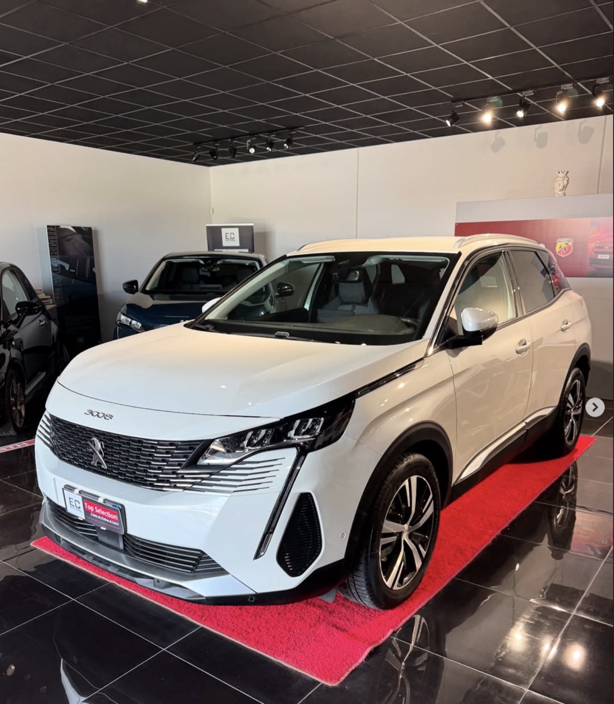 Lo showroom EC Motors